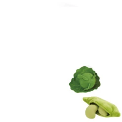 Hape Groentemand -Speelgoed Verkoop hape groentemand a294694 3