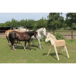 Helga Kreft Houten Tuinpaard Susi 9 Helga Kreft Houten Tuinpaard Susi -Speelgoed Verkoop helga kreft houten tuinpaard susi a276891 4