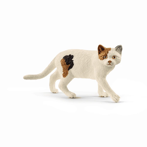 Schleich Amerikaanse Kortharige Kat 13894 1 Schleich Amerikaanse Kortharige Kat 13894