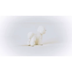Schleich ® Bichon Frisé 13963 -Speelgoed Verkoop schleich bichon frise 13963 a377216 2