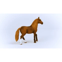 Schleich Paso Peruano Mare 13953 7 Schleich Paso Peruano Mare 13953 -Speelgoed Verkoop schleich paso peruano mare 13953 a377189 2